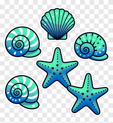 Colorful Sea Shells And Starfish Collection PNG