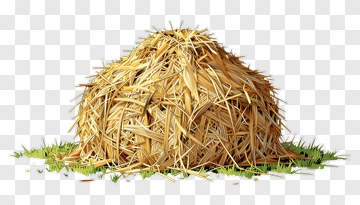 Haystack On Grass PNG