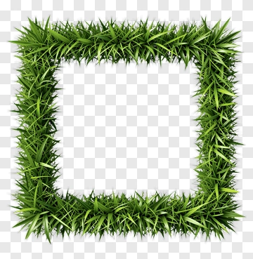 Grass Frame PNG