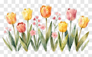 Watercolor Tulip Bouquet With Pink Flowers PNG