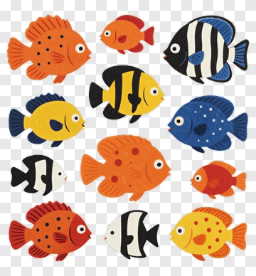 Colorful Fish Collection PNG