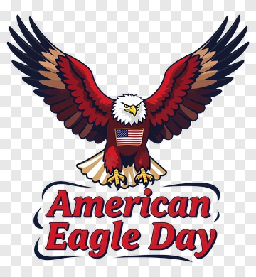 American Eagle Day With Bald Eagle PNG