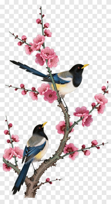 Birds Sitting On A Cherry Blossom Branch PNG