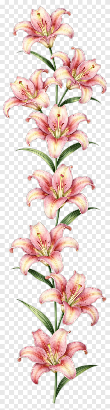 Pink Lily Flower Arrangement PNG