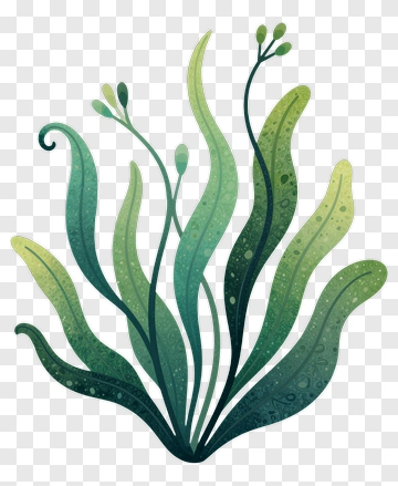 Colorful Green Seaweed PNG