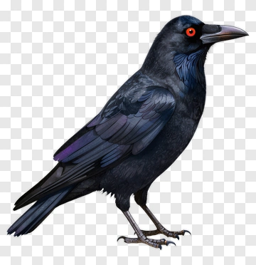 Realistic Black Crow With Red Eyes PNG