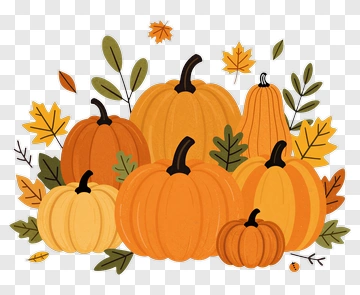 Colorful Pumpkin Arrangement With Autumn Leaves PNG