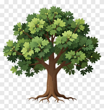 Colorful Tree PNG