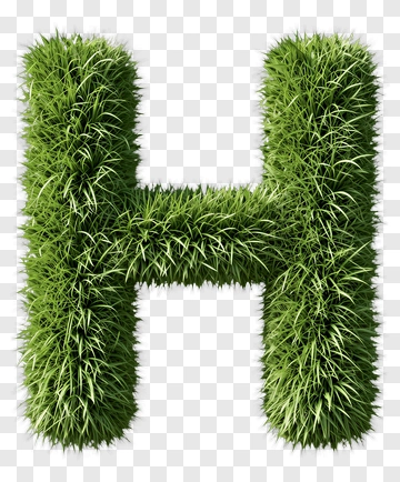 Grass Letter H PNG