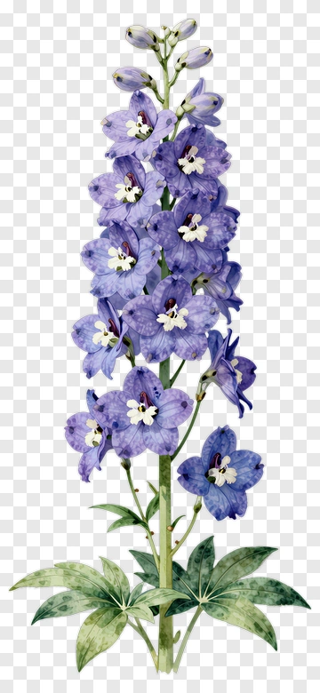 Purple Flower With Green Leaves PNG