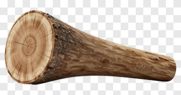 Wood Log With Visible Grain Patterns PNG