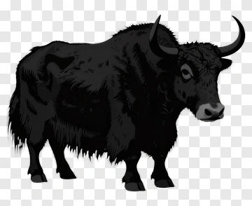Black Yak Standing PNG