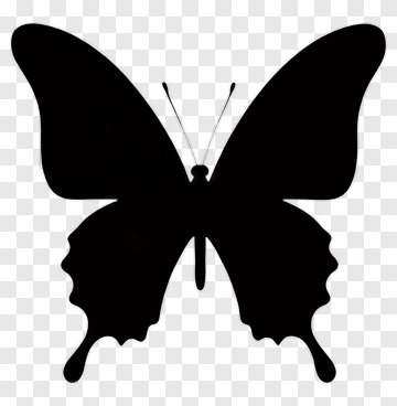 Black Butterfly Silhouette PNG