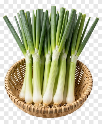 Fresh Green Onions In A Woven Basket PNG