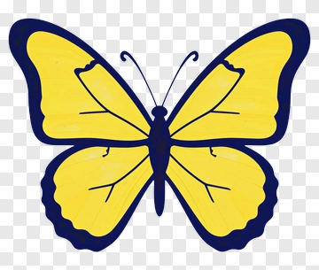 Yellow Butterfly PNG