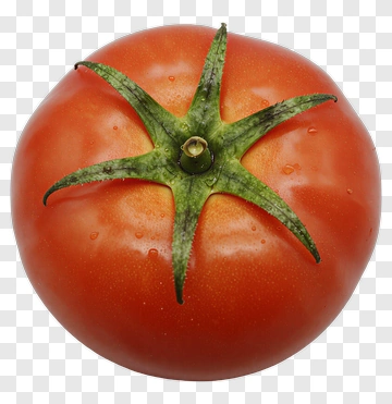 Fresh Red Tomato PNG