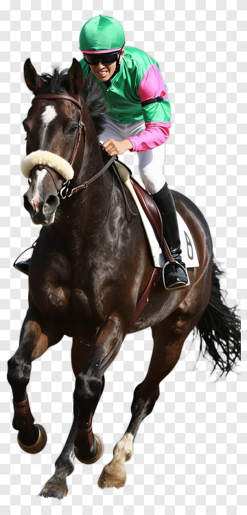 Jockey Riding A Horse PNG
