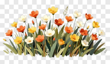 Colorful Flower Bouquet PNG