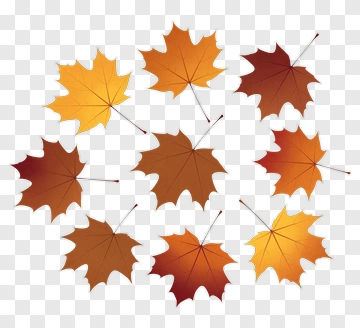 Autumn Maple Leaves PNG
