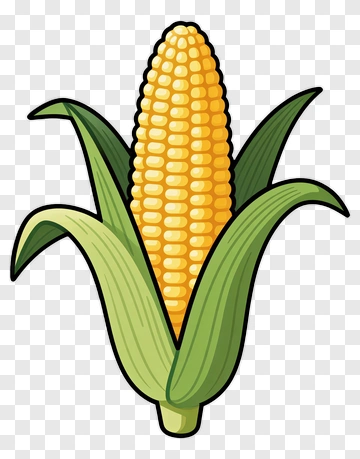 Cartoon Corn On The Cob PNG