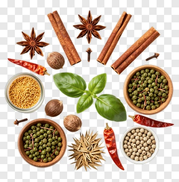 Spice Arrangement With Basil And Various Spices PNG