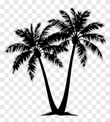 Silhouette Of Two Palm Trees PNG