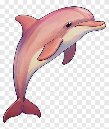 Cartoon Dolphin PNG