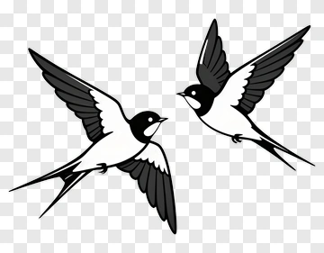 Two Black And White Swallows In Flight PNG