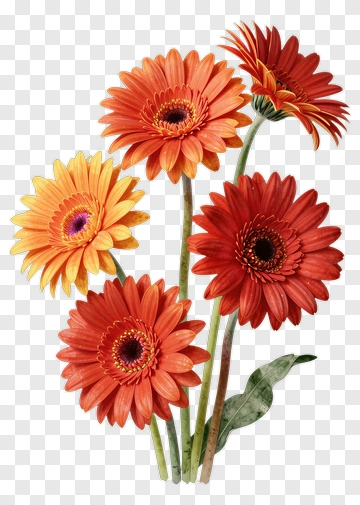 Colorful Flower Bouquet PNG