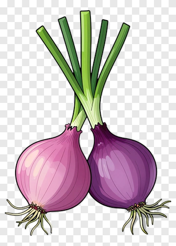 Colorful Onions With Green Stems PNG