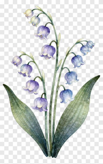 Watercolor Bluebell Flower Bouquet PNG