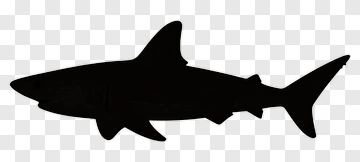 Silhouette Of A Shark PNG