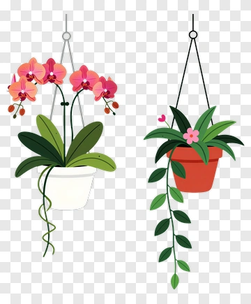 Hanging Flower Pots With Orchids And Greenery PNG