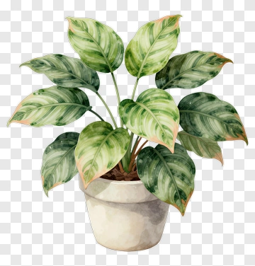 Potted Plant With Green Leaves PNG
