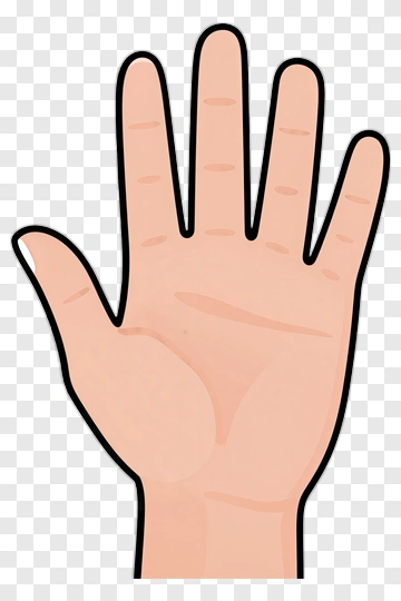 Hand Gesture PNG