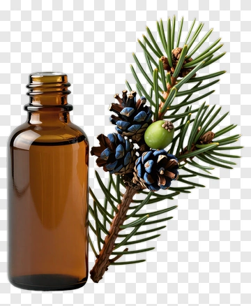 Amber Bottle With Pine Branch And Pinecones PNG