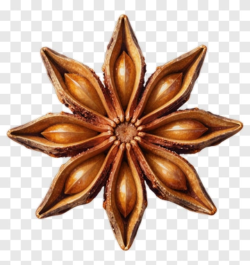 Star Anise Spice PNG