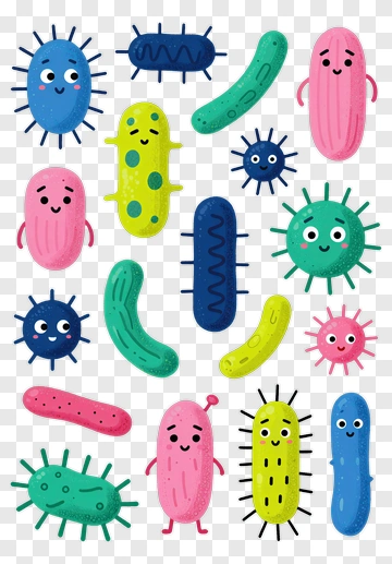 Cartoon Bacteria Characters With Happy Faces PNG
