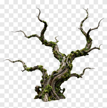 Twisted Tree With Moss PNG