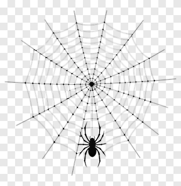 Spider On A Web PNG