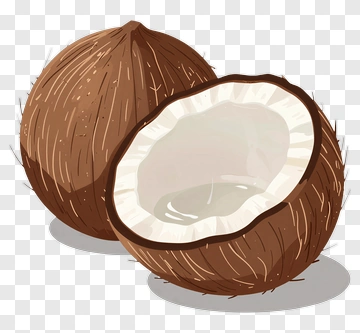 Coconut Half With Shell PNG