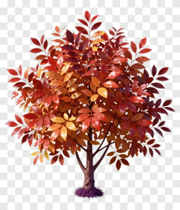 Colorful Tree With Autumn Leaves PNG