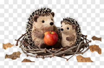 Hedgehogs Holding An Apple In A Nest PNG