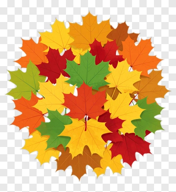 Colorful Autumn Leaves PNG
