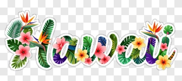 Colorful Hawaii Floral Design PNG