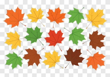 Colorful Autumn Leaves Collection PNG