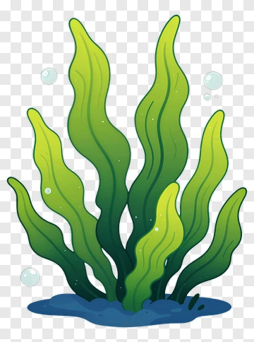 Colorful Seaweed Illustration PNG