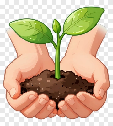 Hands Holding A Young Plant PNG