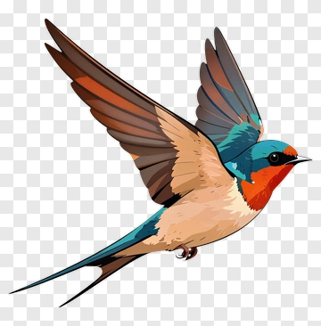 Colorful Bird In Flight PNG