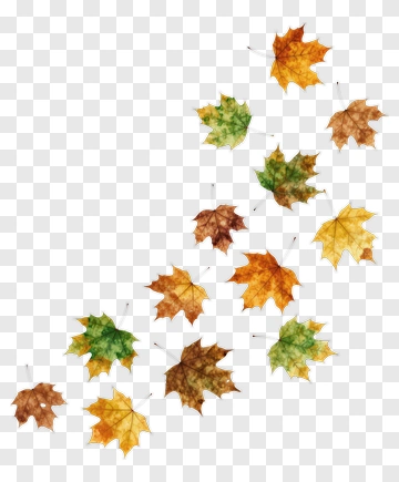 Colorful Autumn Leaves PNG